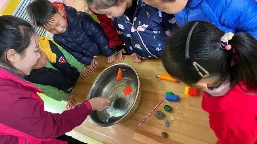 浮与沉幼儿园小班科学教案