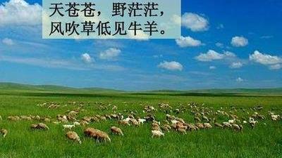 描写大草原的古诗句