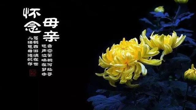 母亲去世了母亲节的祝福语