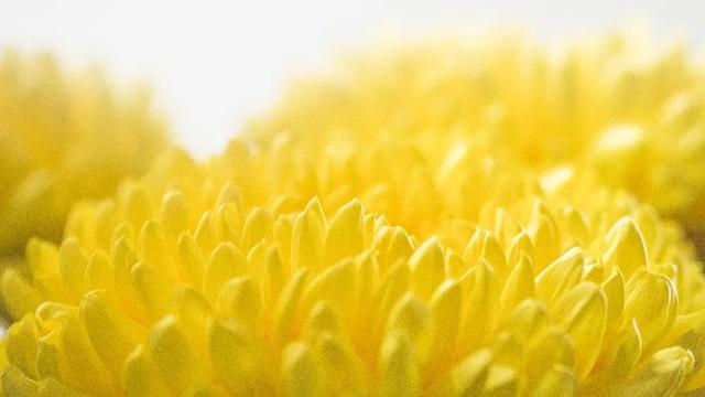 中秋茶叶文案精选