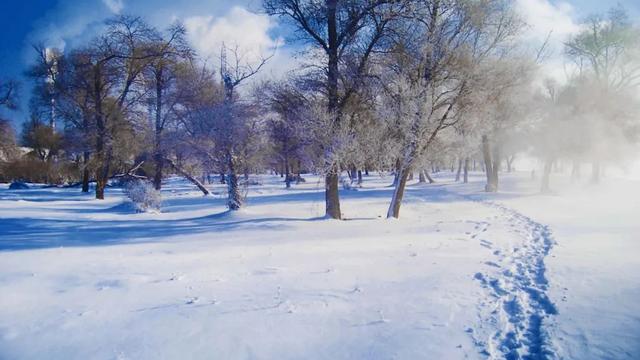 描写冬天凛冽的寒风的句子(精选)