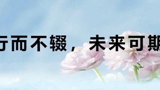 未来的道路作文4篇