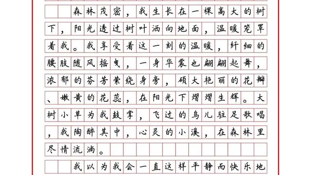 理想作文500字优秀作文