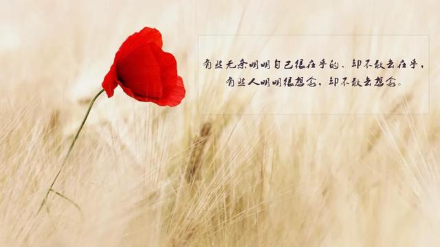【推荐】个人伤感签名合集