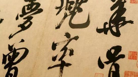 淋雨中范文精选