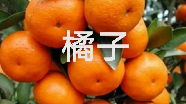 橘逾淮为枳文言文翻译及原文