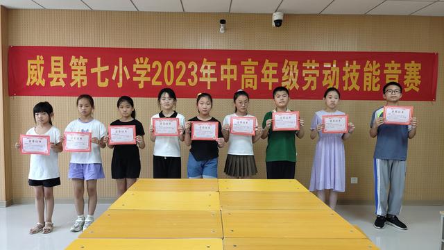 小学劳动技能大赛活动方案精选