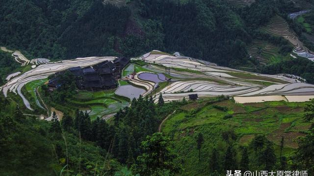 咨询合同模板（精选）