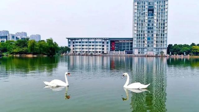 湖州师范学院历年录取分数线及各专业录取分数线统计表