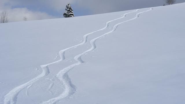 掌心化雪阅读理解