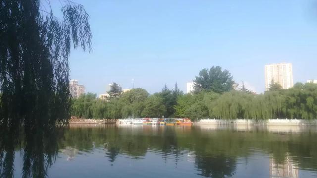 冬天我想对你说什么