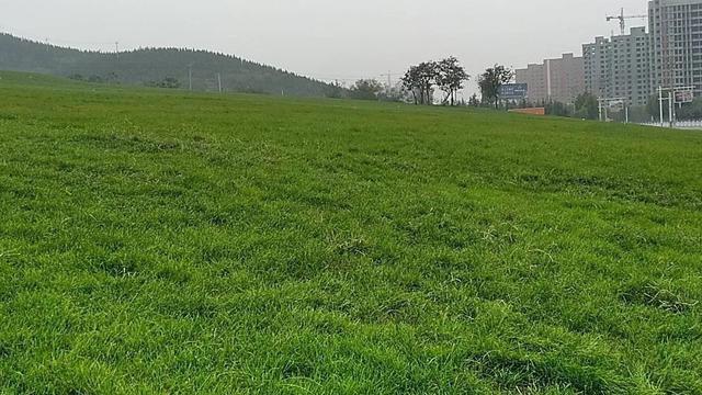 教师教研活动总结模板精选