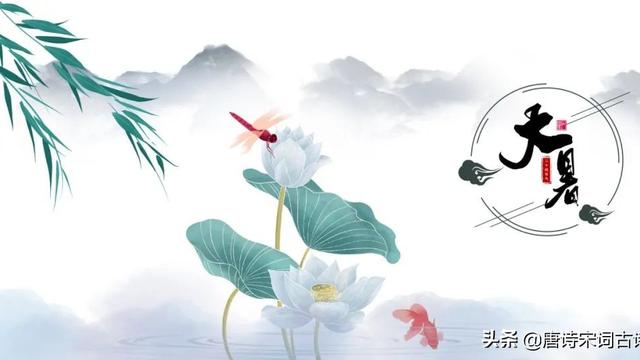 关于大暑的现代诗歌精选