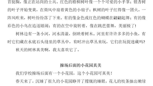 【精品】六年级第一单元作文300字
