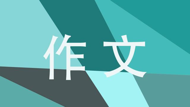 不完美的作文500字通用