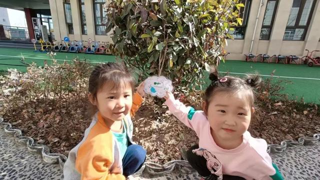 幼儿园小班植树节主题活动总结