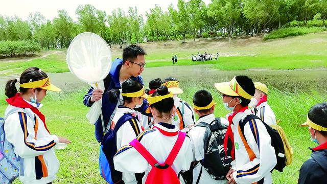 小学节能工作计划10篇