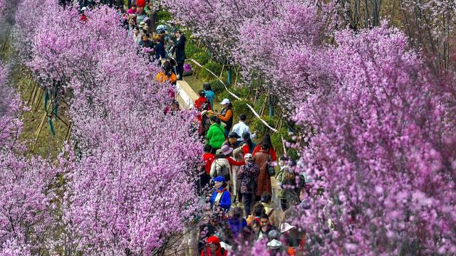 带孩子踏春赏花的优美句子