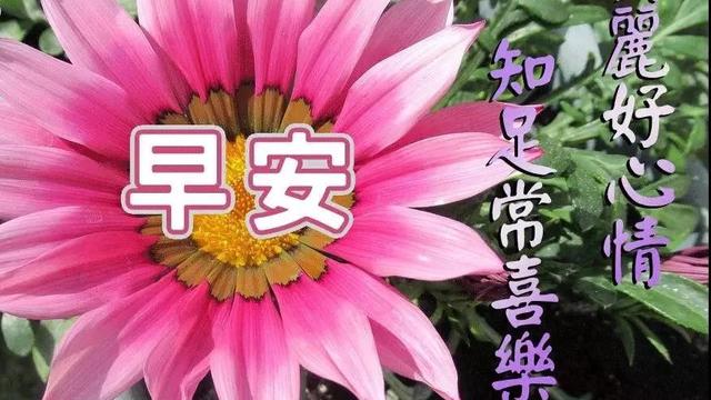 簡單幸福的句子說說心情短語