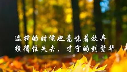 女人成熟有涵养发朋友圈的句子