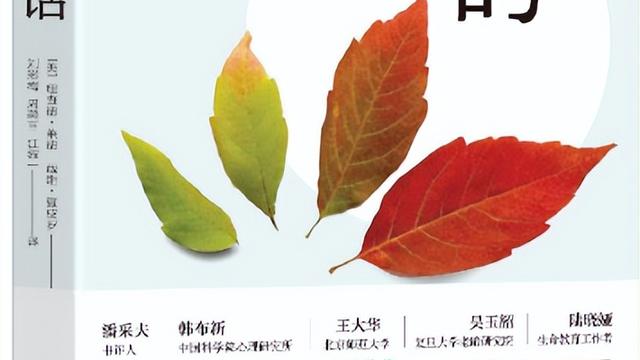 《生命的灯》阅读答案