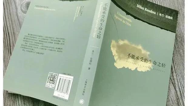 生命不能承受之轻作文（精选）
