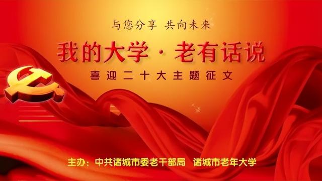 精彩的春节晚会小学生作文