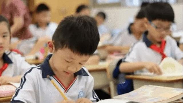 买菜小学作文