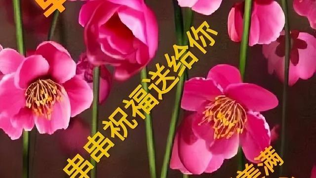 清晨问候唯美句子