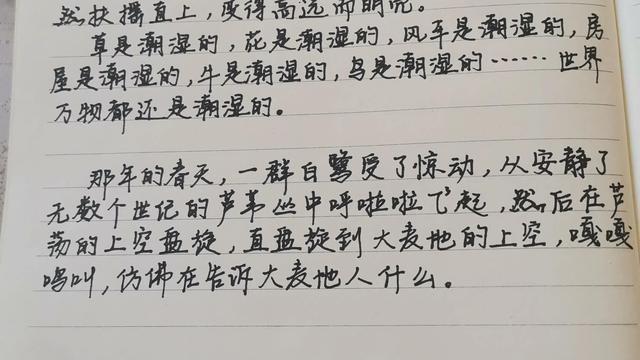 青铜葵花摘抄好词笔记