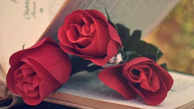 我爱我们的节日作文