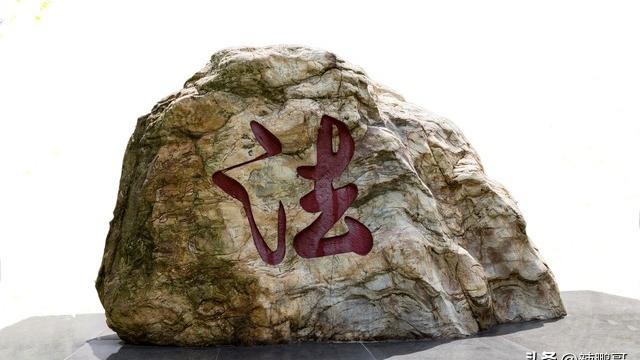 关于法律的成语有哪些