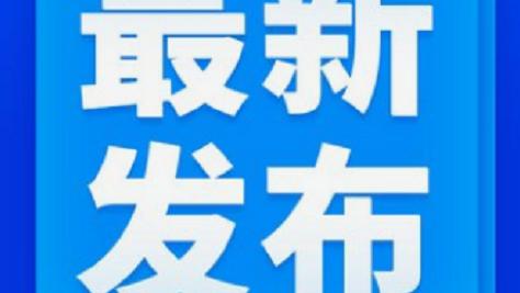 督查整改落实情况汇报