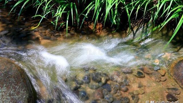 美丽的那香海小学作文