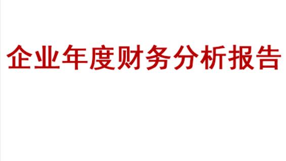 上市公司财务分析报告