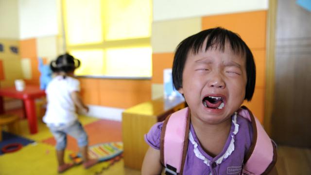 幼儿园家委会工作总结