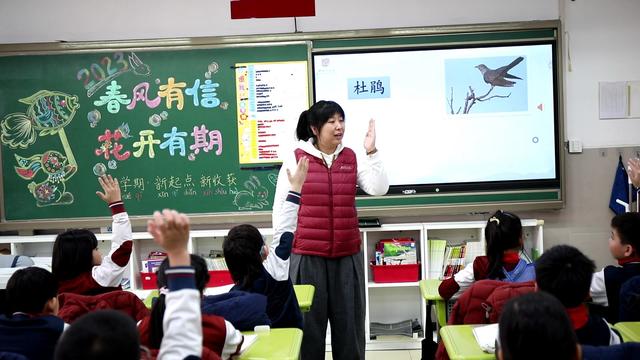 双语学校常见的教学模式有哪些