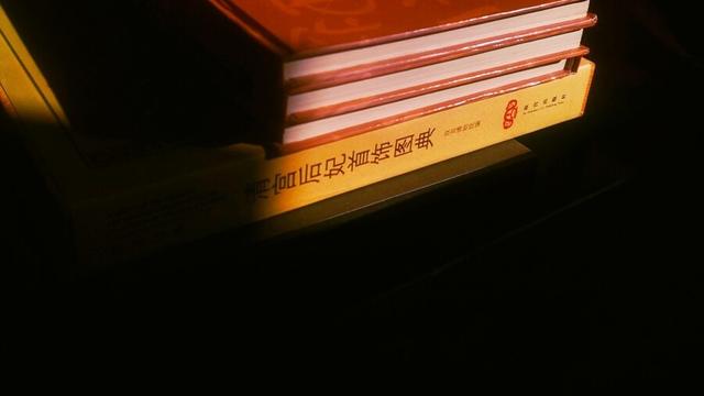我因什么而自豪作文