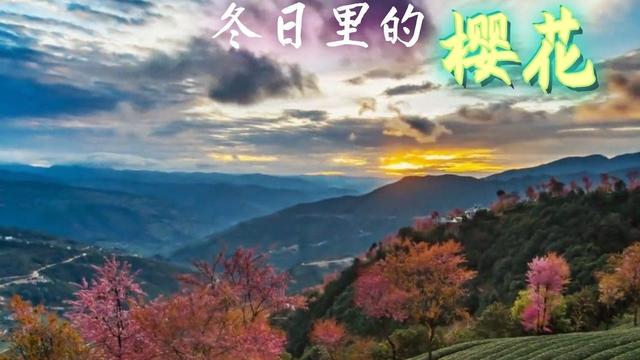 光遇透明斗篷季节任务