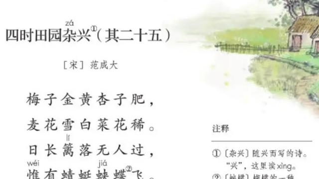 所见改写一个小故事作文