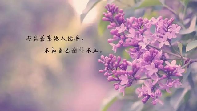 【实用】朋友圈唯美句子集锦100条