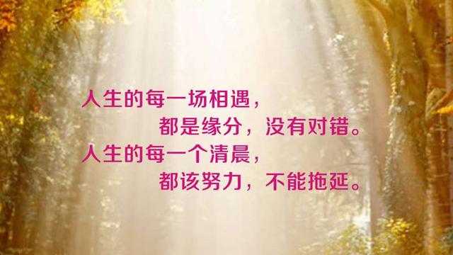 实用的励志句子