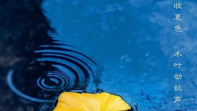 描写秋天雨景的诗句古诗