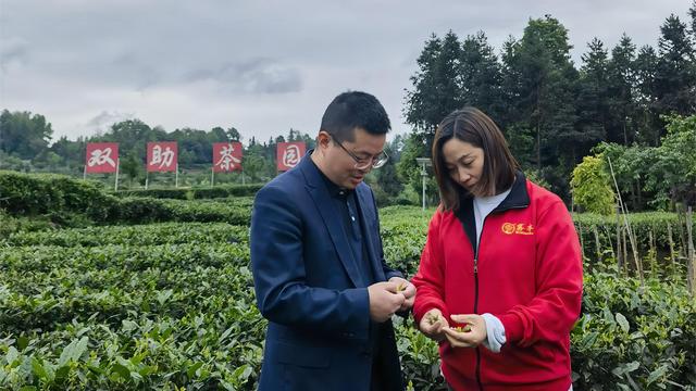 银行协同营销履职报告10篇