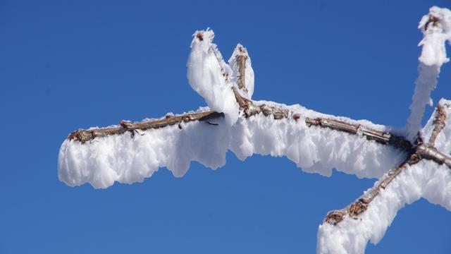 描写冬天雪景的优美句子