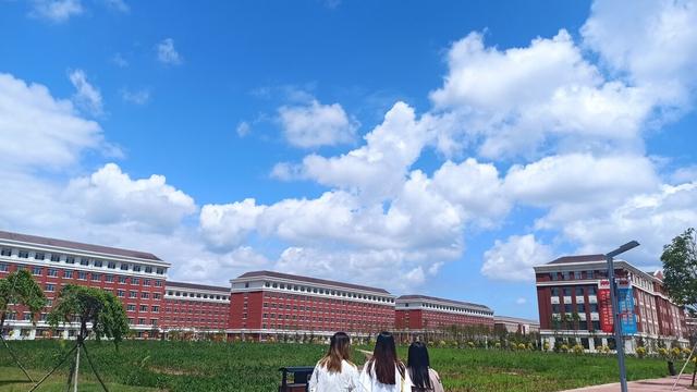 雨后街景作文300字