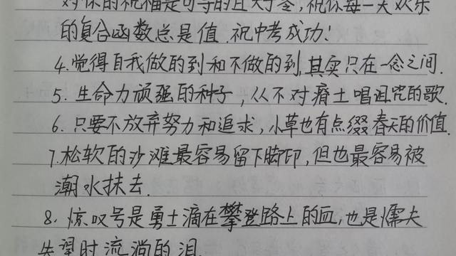 为中考加油的经典句子