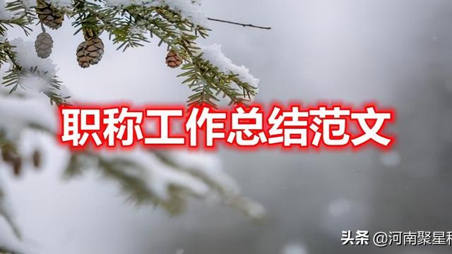 教师评职称个人的工作总结精选