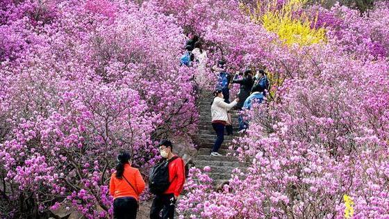 写景的五言绝句诗