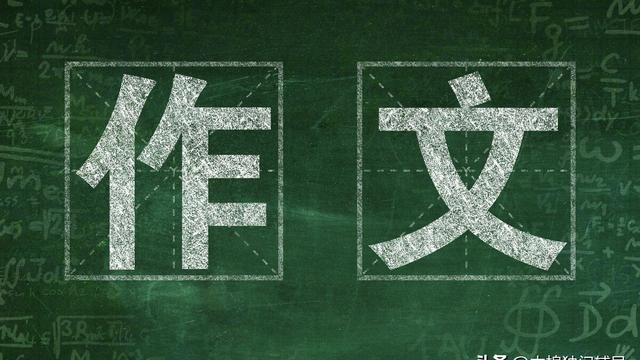 精选亮的作文范文600字